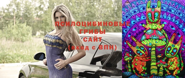 твердый Балахна